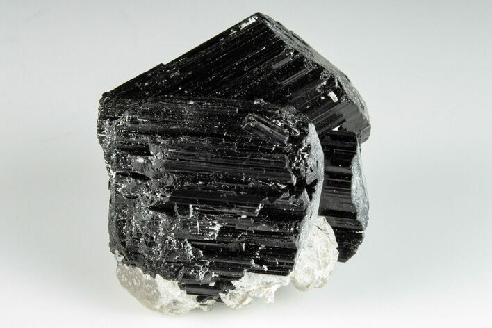 Terminated Black Tourmaline (Schorl) Crystal Cluster - Madagascar #200422